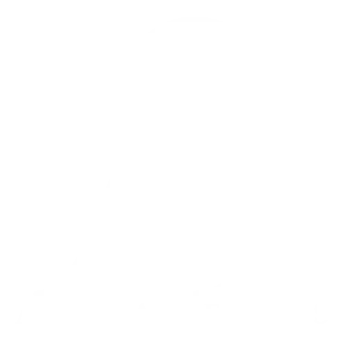 Aysha Senses